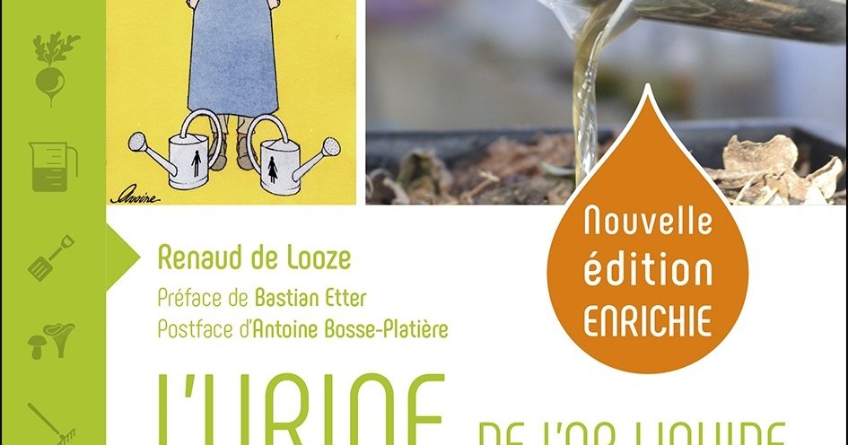 L'urine, de l'or liquide au jardin - ÉCORCE